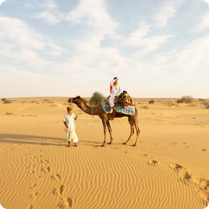 Camel safari in the Thar Desert