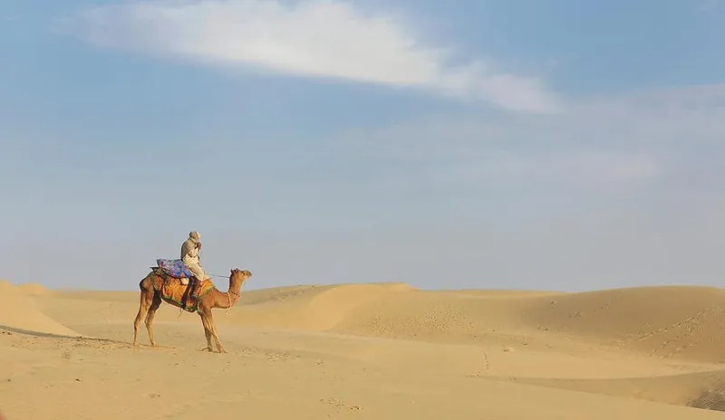 Camel on the Sam Sand Dunes of the Thar Desert